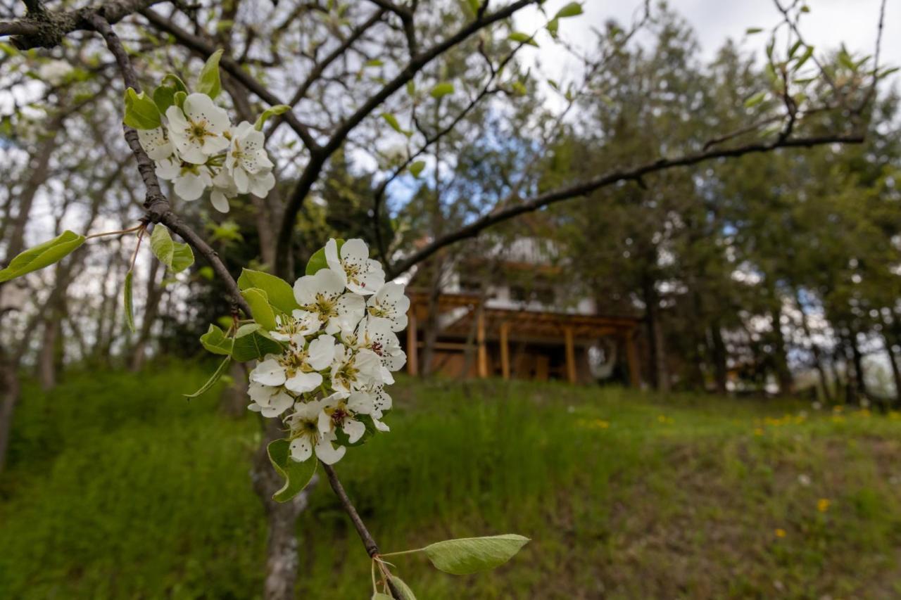 Egercottages - Csillag Cottage Exterior photo