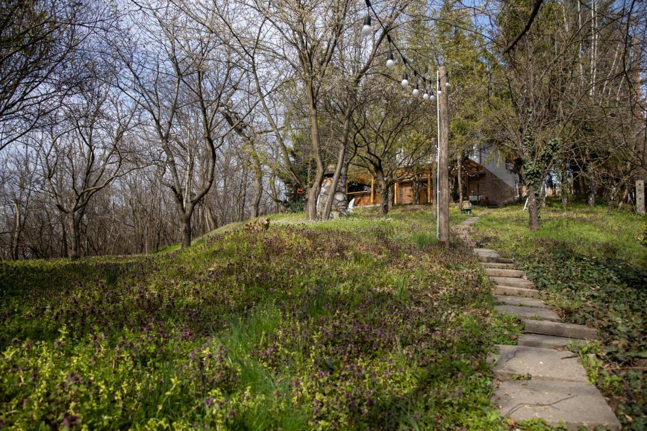 Egercottages - Csillag Cottage Exterior photo